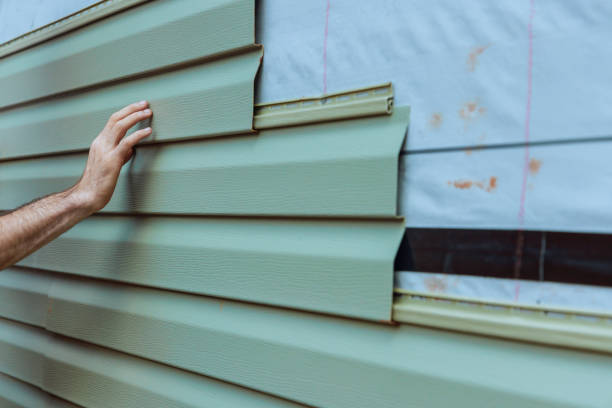 Best Vinyl Siding Installation  in Fairview Park, IN